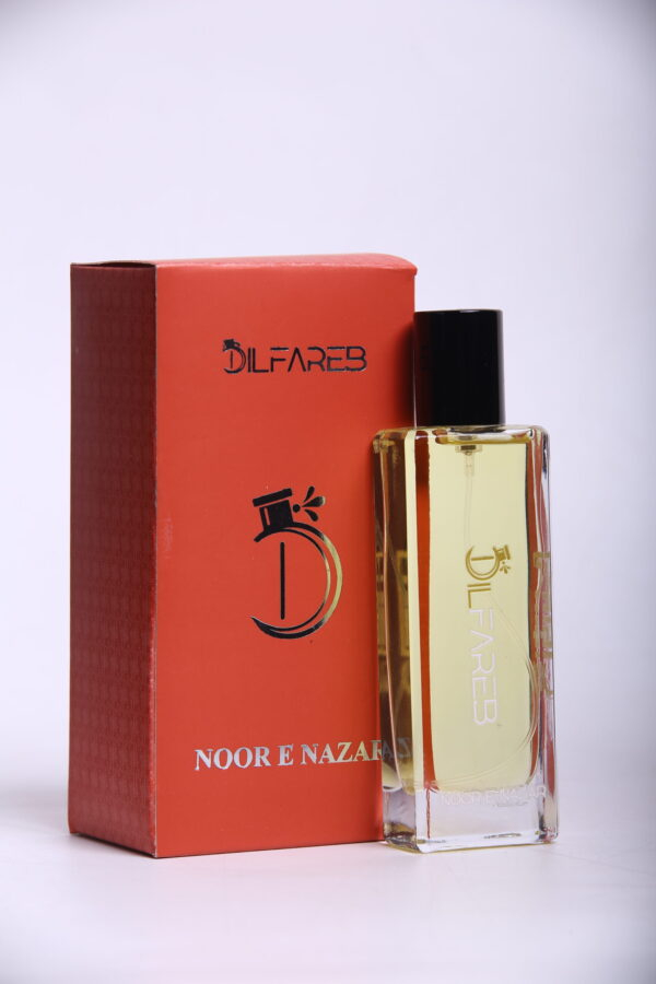 Dilfareb Noor e Nazar