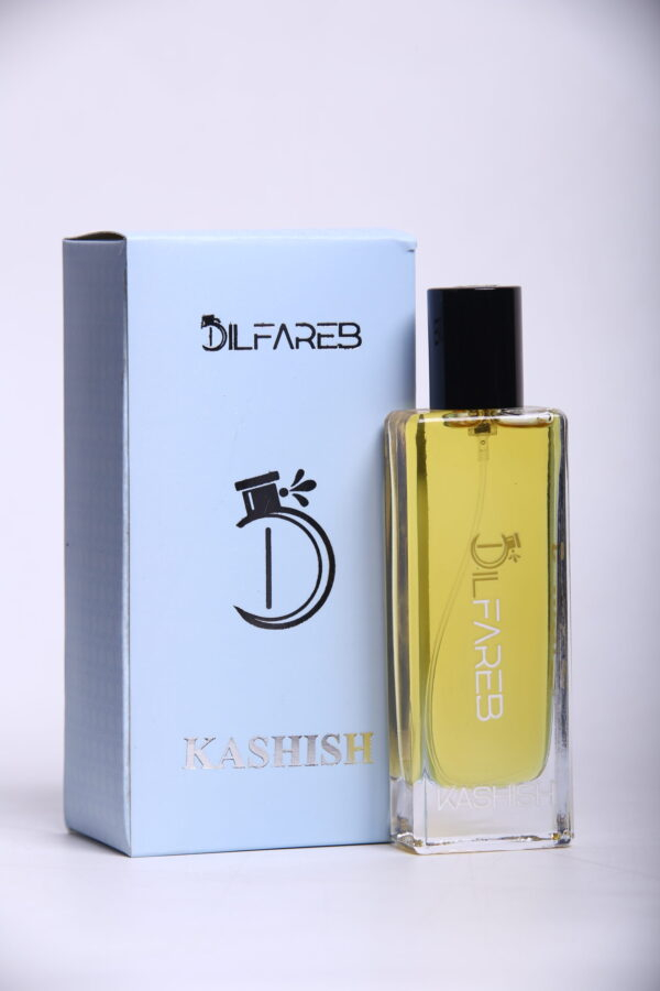 Kashish - Image 4