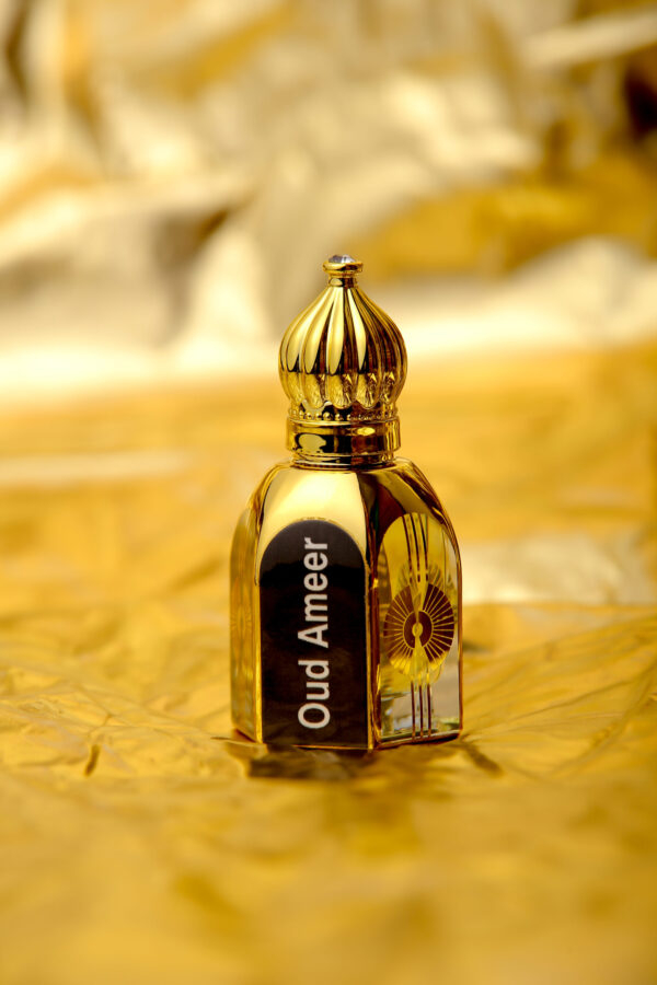 Oud Ameer