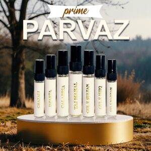 Nayab Parvaz Discovery Set